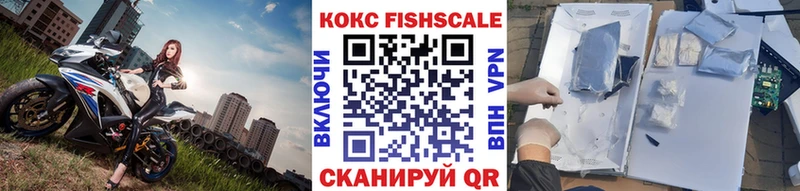 COCAIN Эквадор  как найти закладки  Димитровград 