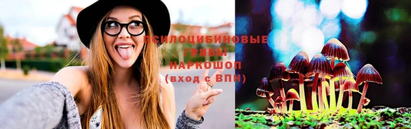 Альфа ПВП Дмитриев