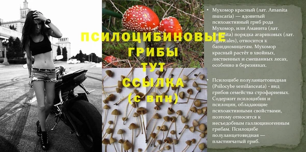 мдма Дмитров