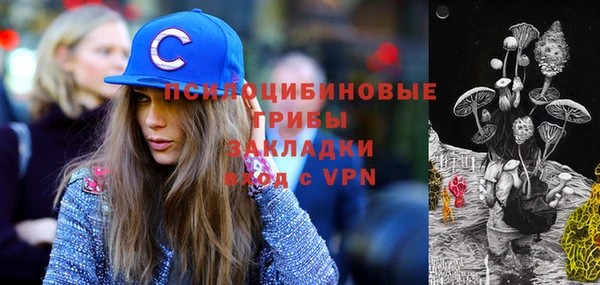бошки Гусиноозёрск