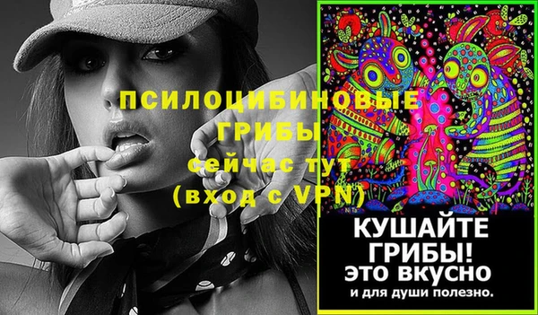 дмт Дмитровск