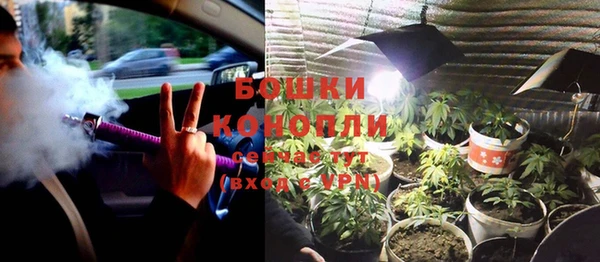 Альфа ПВП Дмитриев
