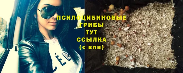 дмт Дмитровск