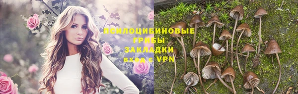 дмт Дмитровск