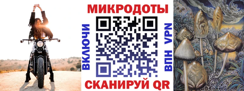 Псилоцибиновые грибы ЛСД  Димитровград 